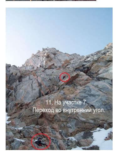 7_image_1.jpg