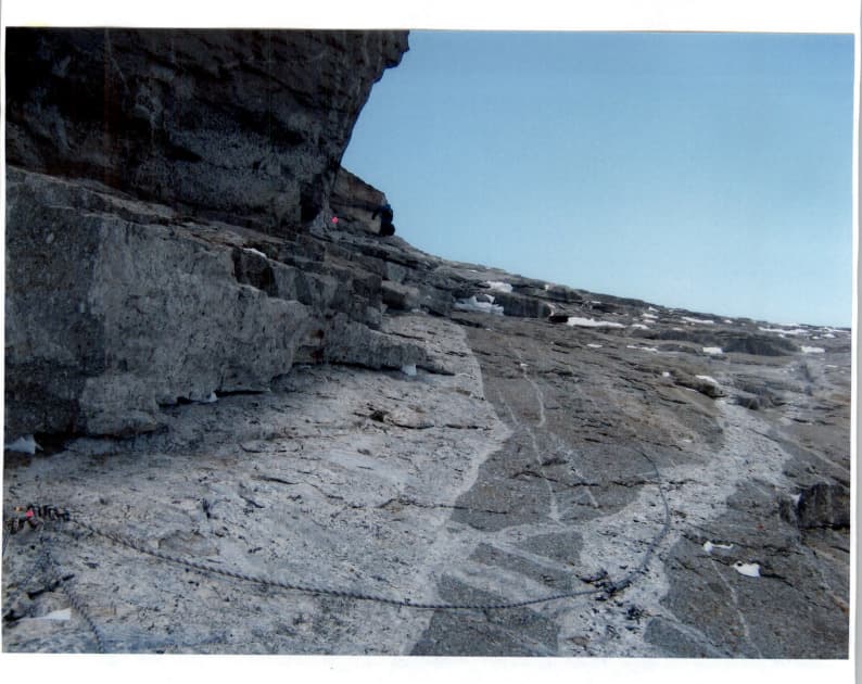 17_image_1.jpg