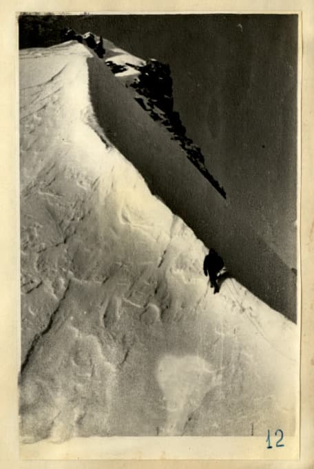 7_image_2.jpg