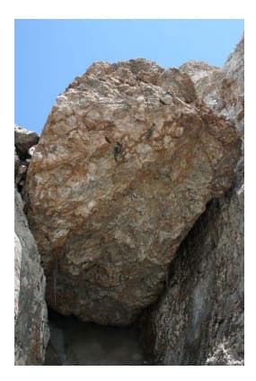 8_image_0.jpg