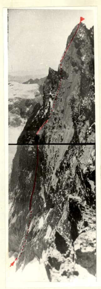 5_image_1.jpg