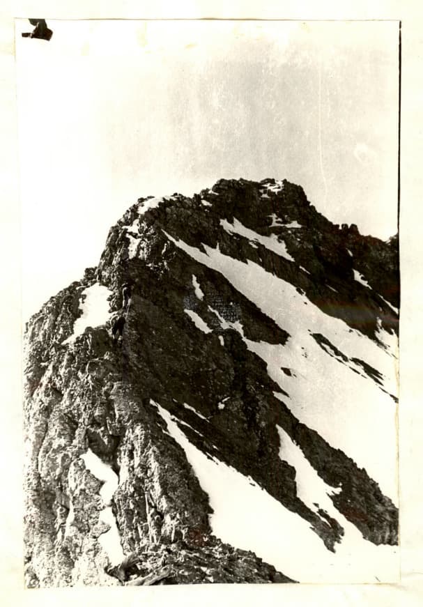 5_image_1.jpg