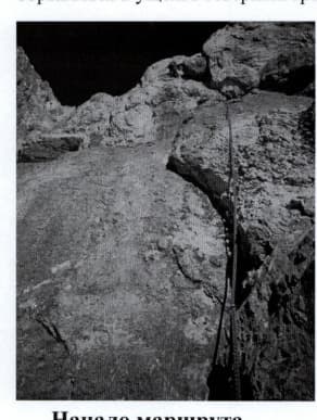 1_image_1.jpg