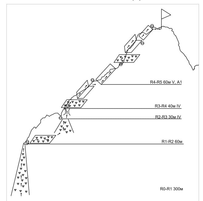7_image_0.jpg