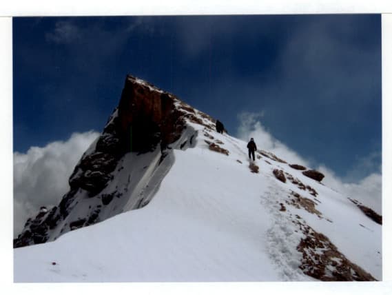 16_image_1.jpg