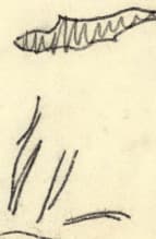2_image_2.jpg