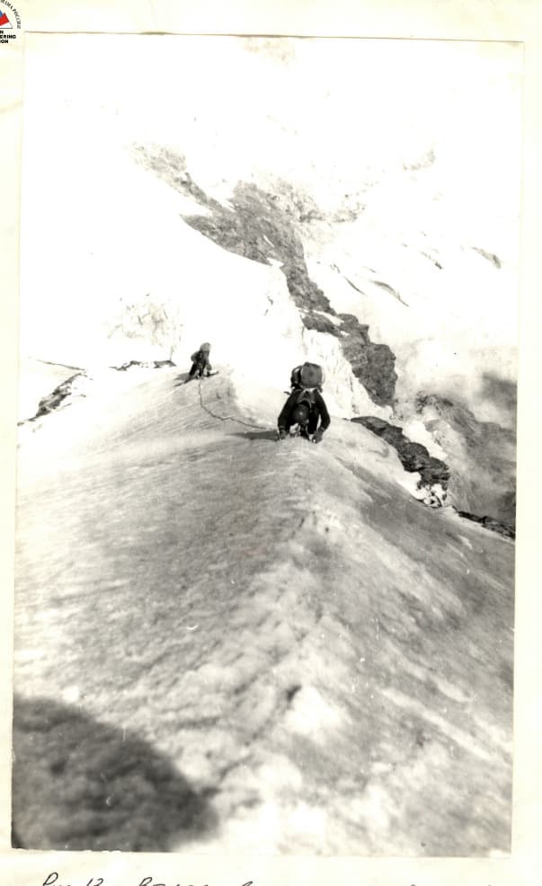 11_image_1.jpg