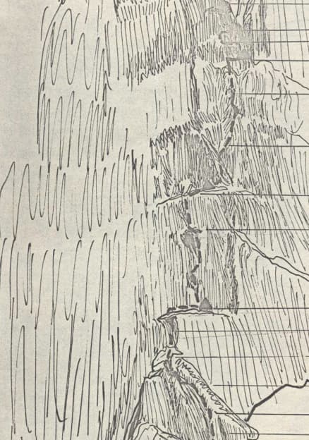 12_image_1.jpg