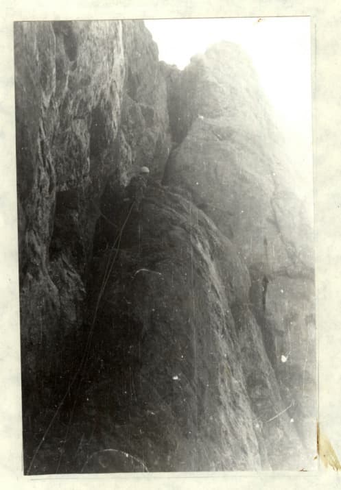 14_image_1.jpg