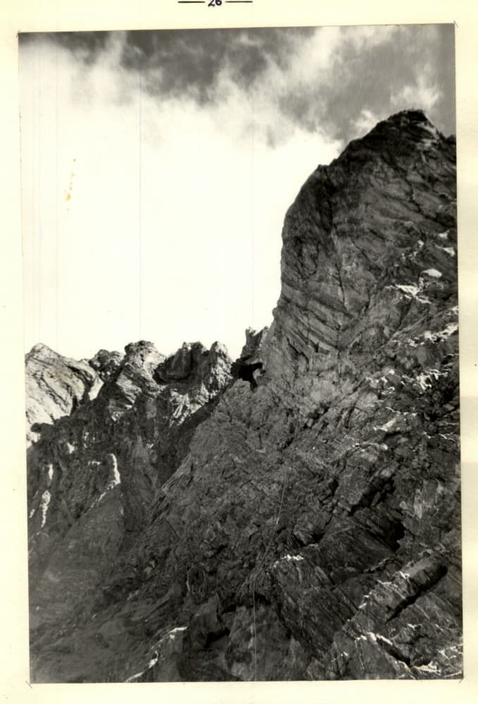 19_image_1.jpg