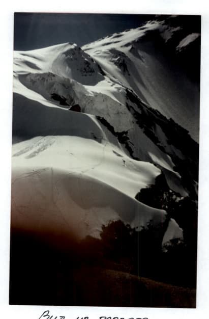 3_image_1.jpg