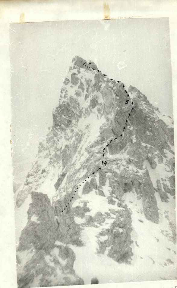 5_image_1.jpg