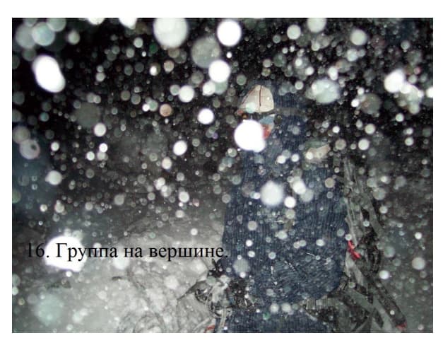 11_image_0.jpg