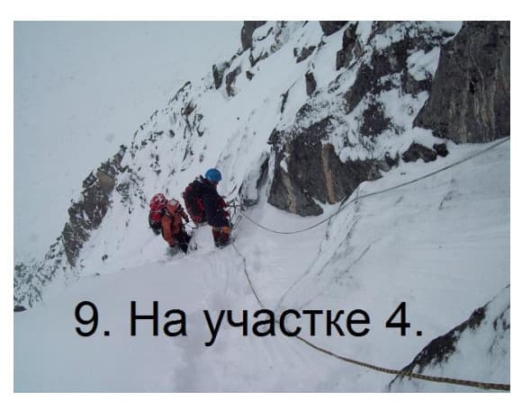 7_image_0.jpg