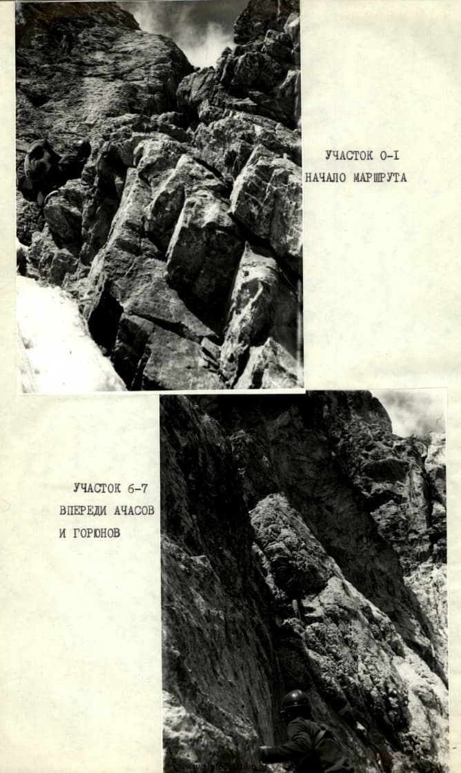 9_image_1.jpg