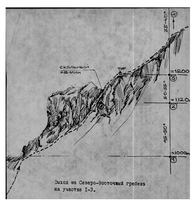 6_image_0.jpg