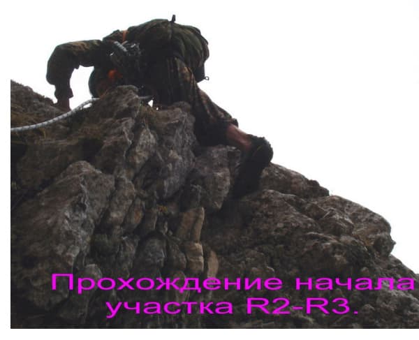 13_image_0.jpg