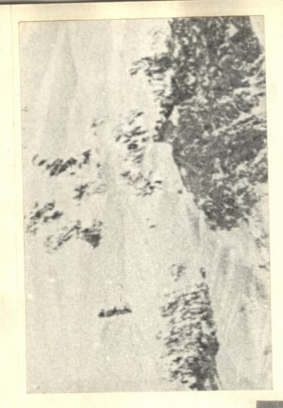 16_image_1.jpg