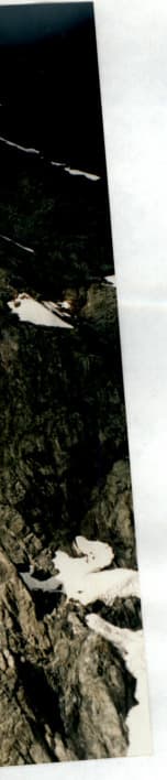 2_image_1.jpg