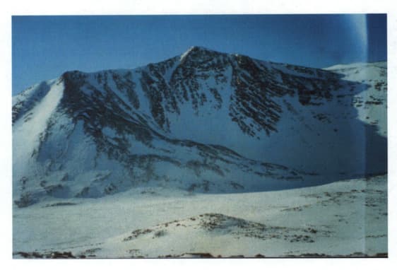 9_image_1.jpg