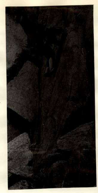 9_image_1.jpg
