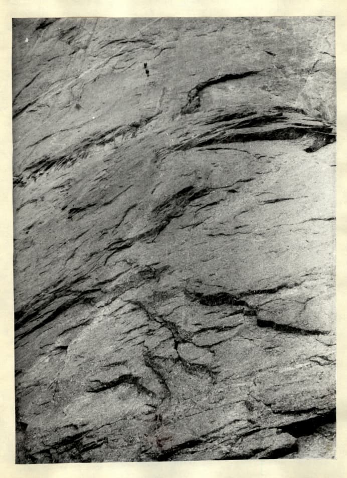 5_image_1.jpg