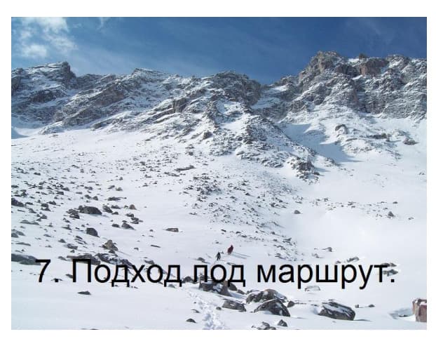 6_image_0.jpg