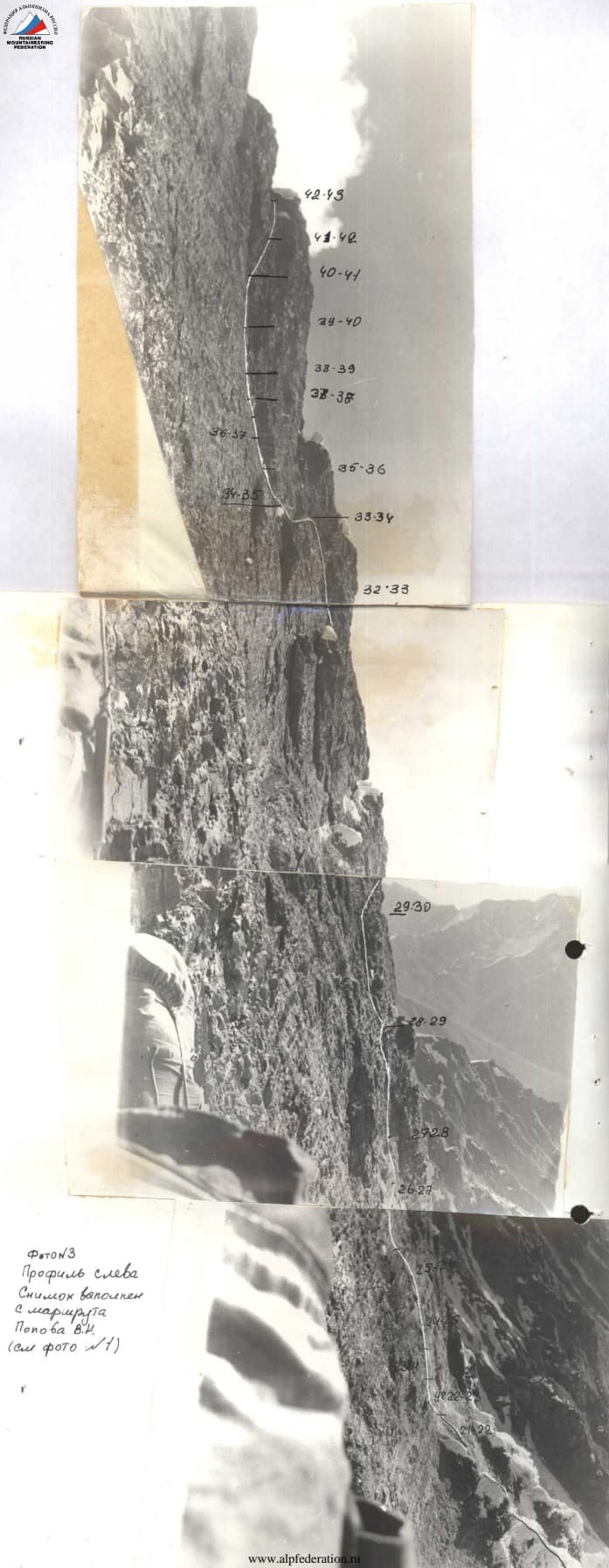3_image_0.jpg