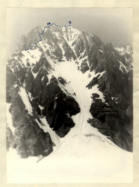 8_image_1.jpg