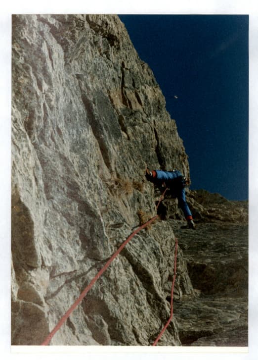 6_image_1.jpg