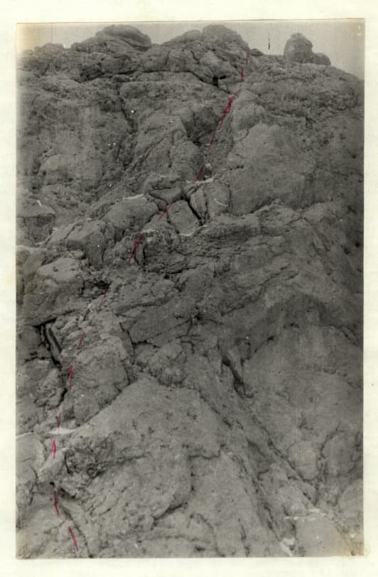 7_image_1.jpg