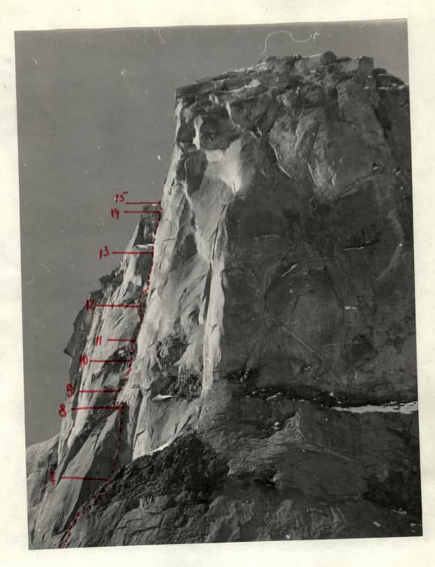 1_image_1.jpg