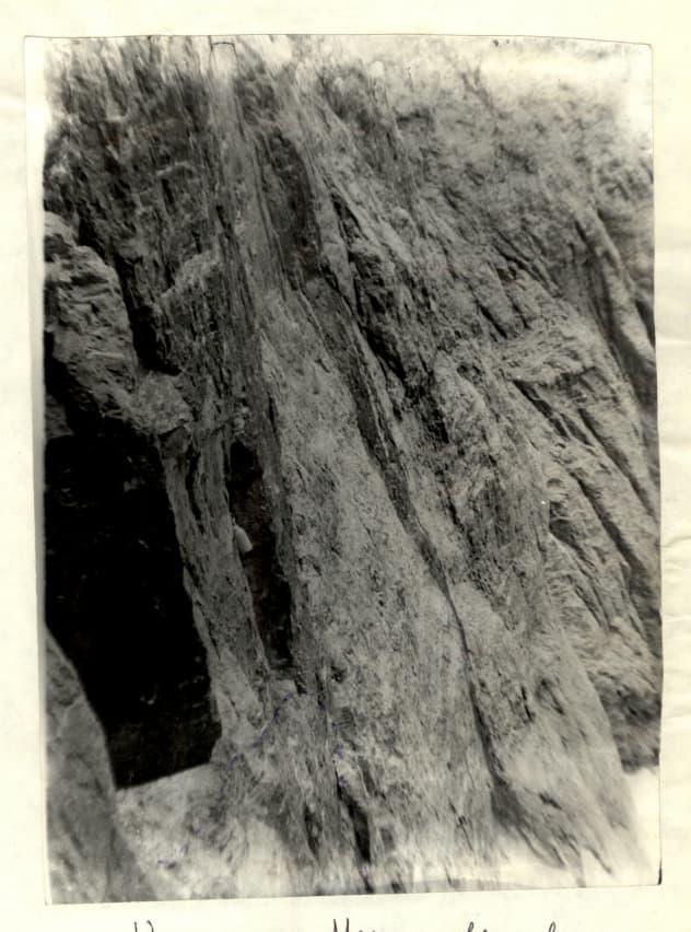 9_image_1.jpg
