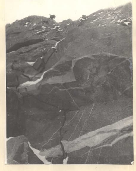 42_image_2.jpg