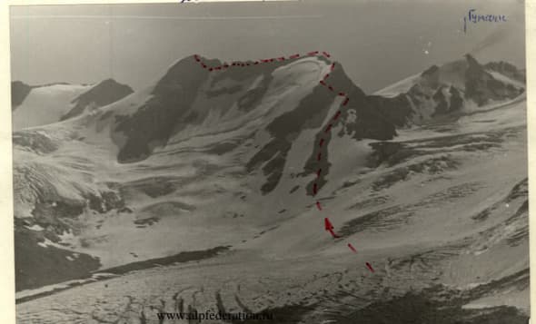 1_image_1.jpg