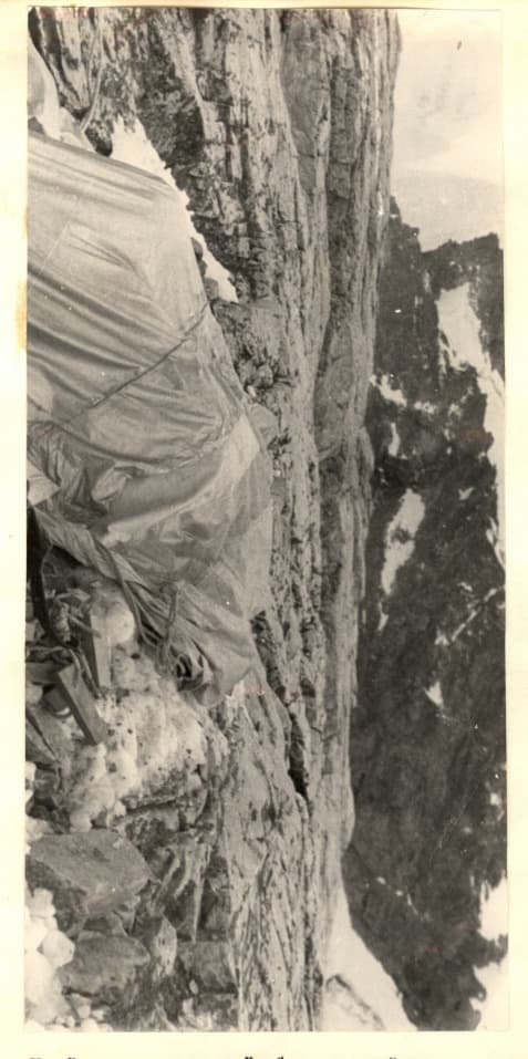 7_image_1.jpg