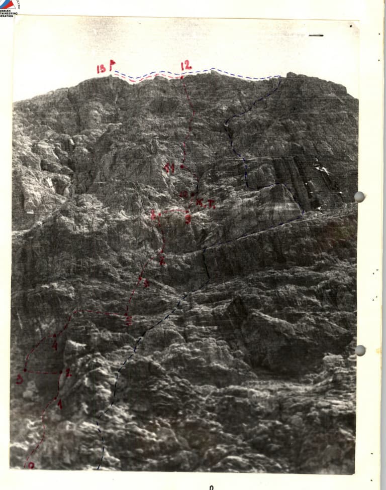1_image_1.jpg