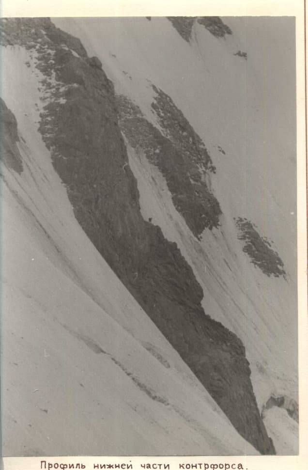58_image_1.jpg