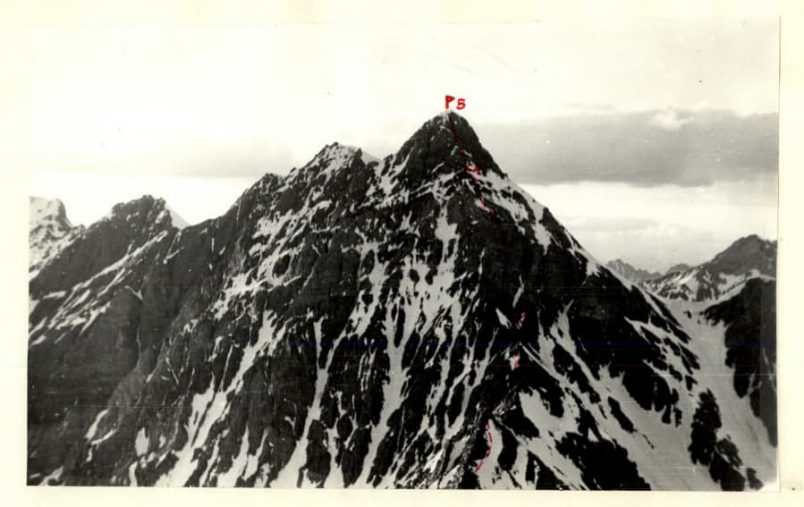 1_image_0.jpg