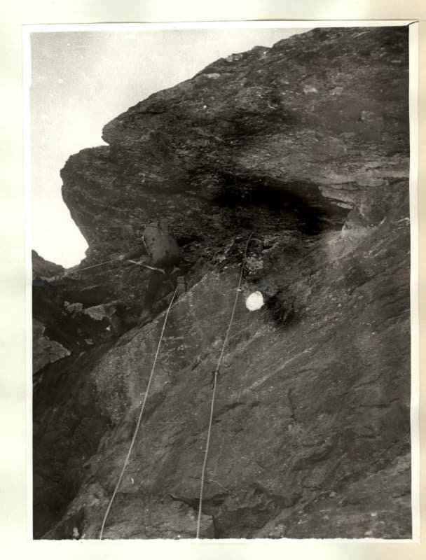 2_image_0.jpg