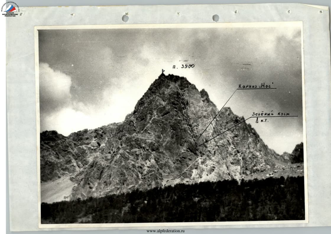 1_image_0.jpg