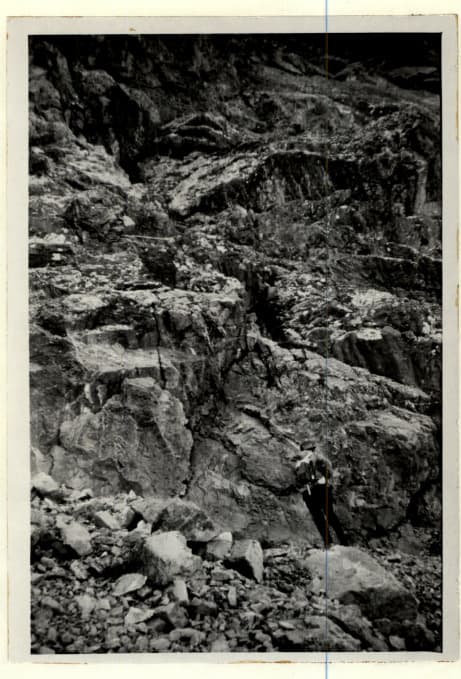 5_image_0.jpg