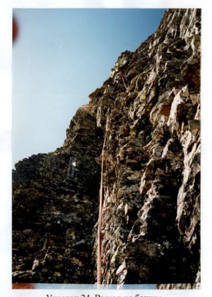 11_image_2.jpg