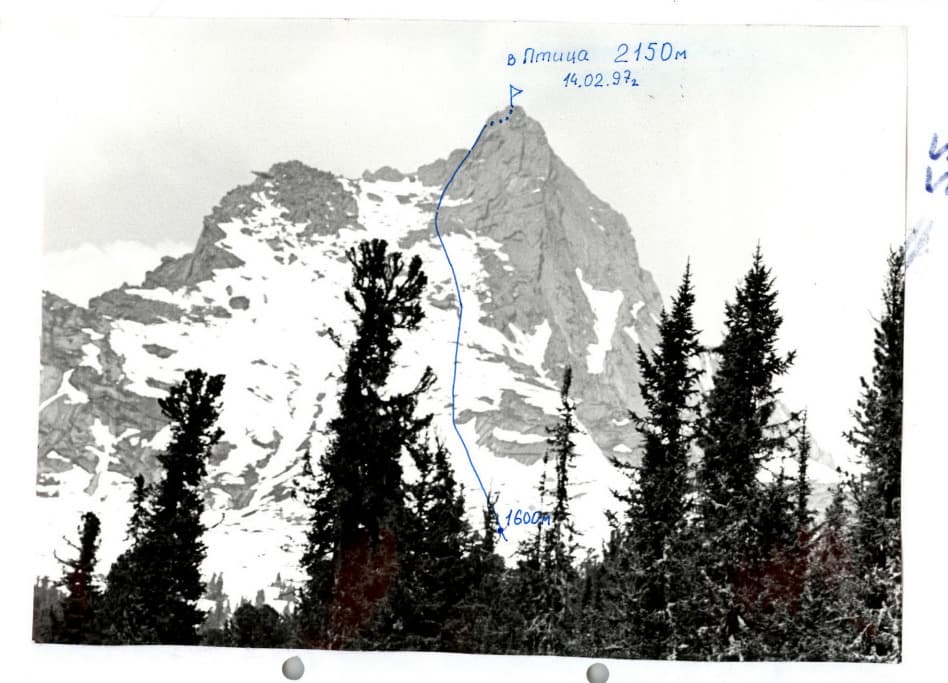 1_image_0.jpg