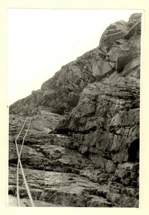5_image_1.jpg