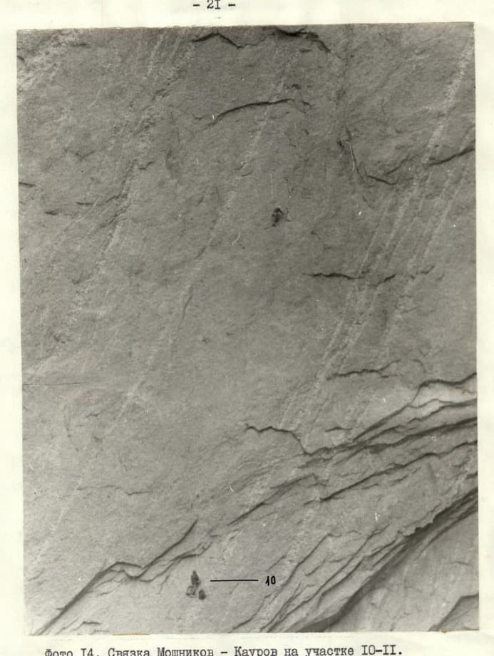 6_image_1.jpg