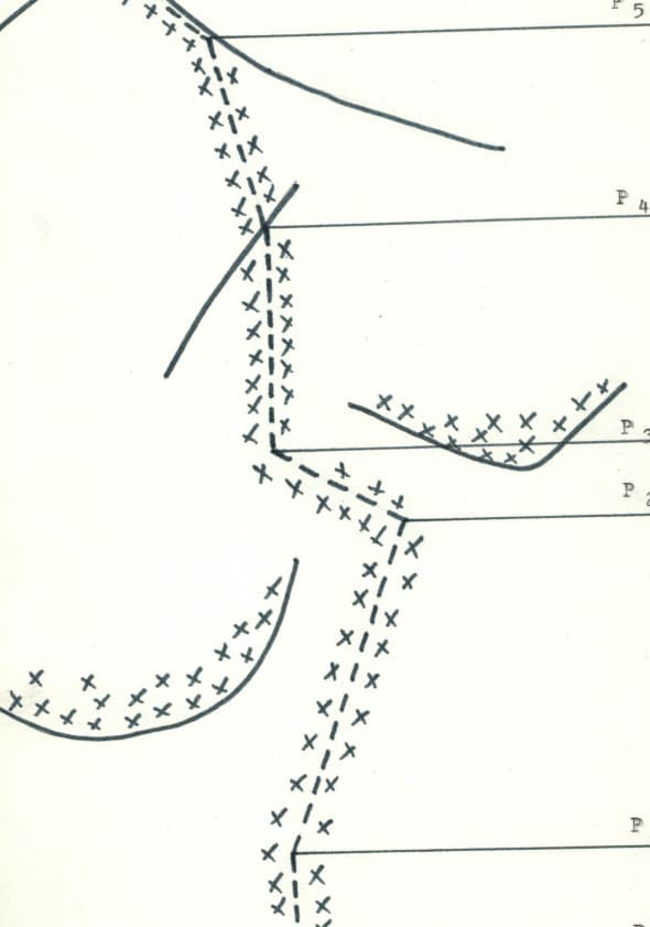 1_image_1.jpg