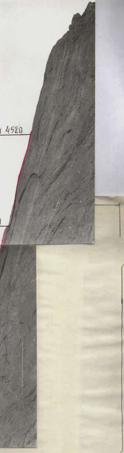 4_image_2.jpg