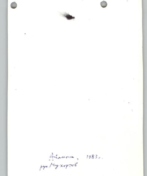 3_image_1.jpg