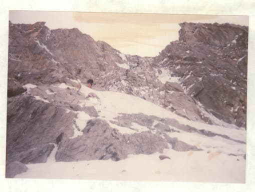 11_image_1.jpg
